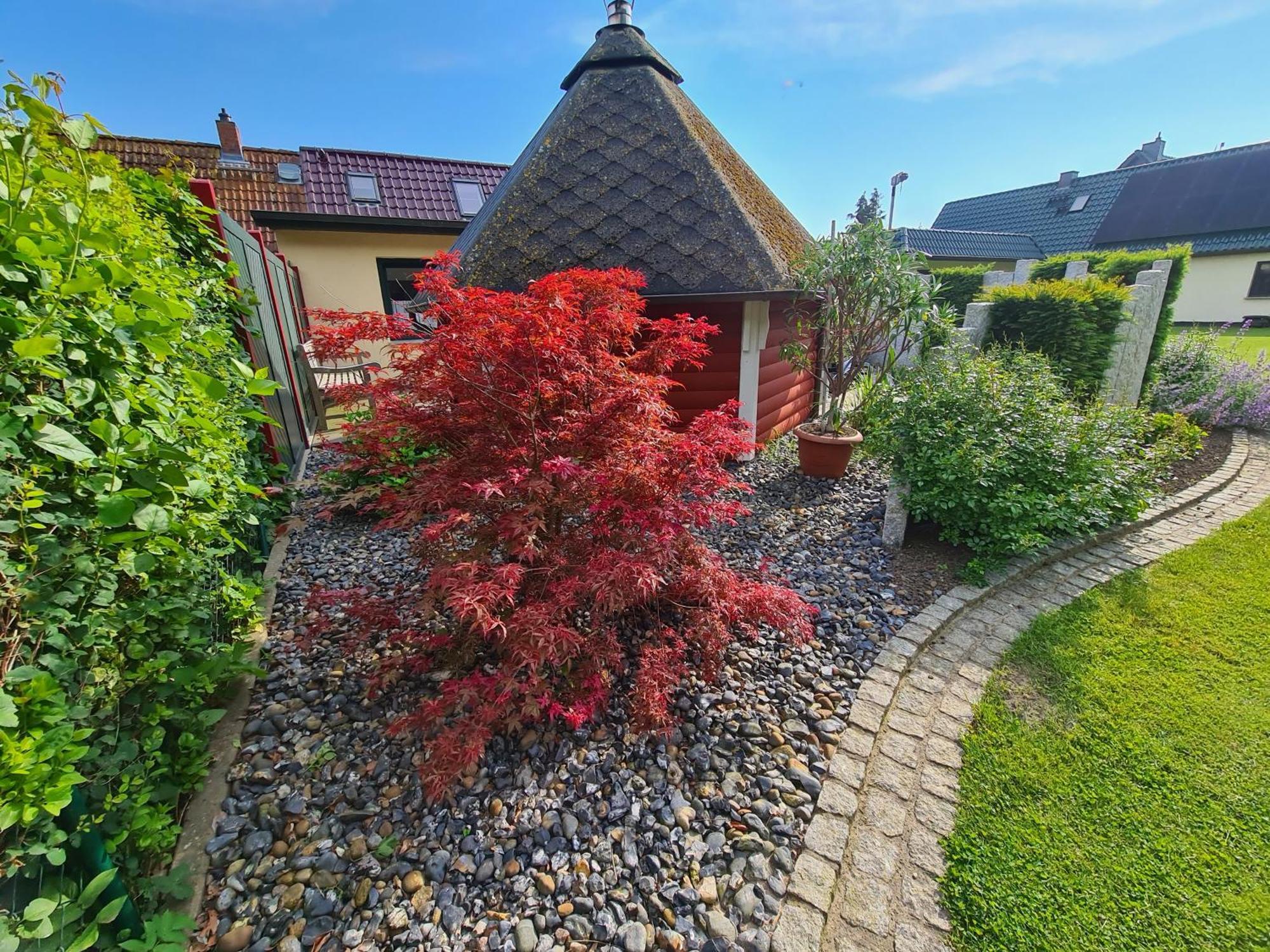 Ferienhaus Saupe Шапроде Экстерьер фото